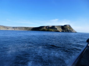 Curious Headland