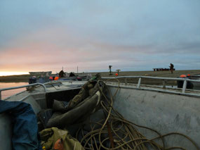 A Bit of Whaling Gear With Us!
