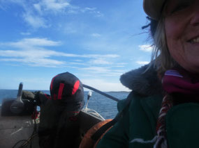 Bedraggled But Hanging on