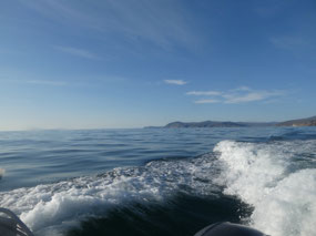 We Hit 40 Knots