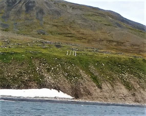 Whale Bones at Naukan