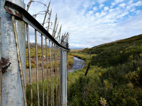 Along the Pretty Gudym Stream