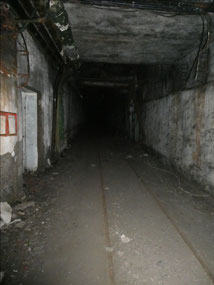 Into the Portal