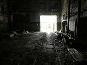 Looking Back Out From the Portal