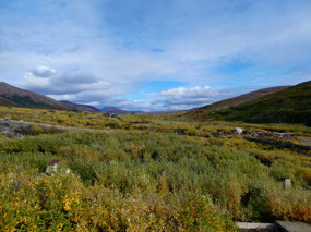 Remains of a Beautiful Valley