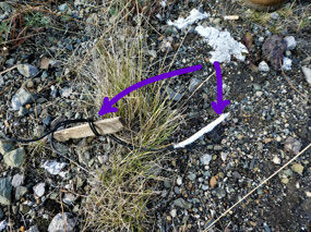 Remains of Detonators