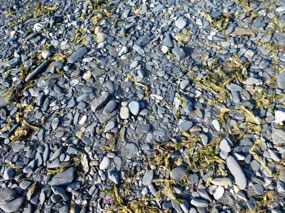 Black Pebbles of Yanranay Beach