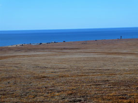 Fishing Huts Along Chaun Bay