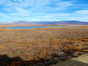 Tundra and Lakes - Toward the Gulag