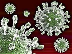 Electron Micrograph - Rotavirus