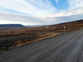 Late Afternoon Tundra Scene