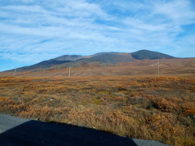 Lovely Tundra Landscape