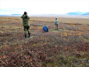 Picking Shushka
