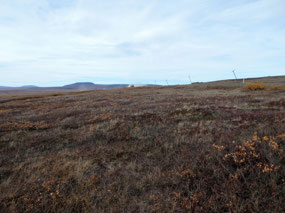 Truck in the Distance