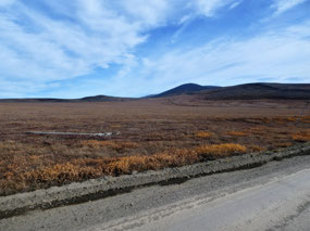 Tundra and Muskeg