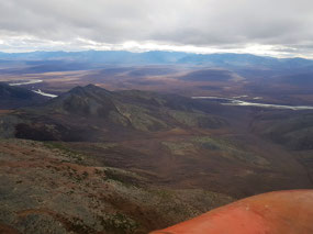 Tree Growth Toward Keperve'em (c. Alex)