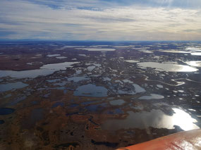 Poor Permafrost Drainage (c. Alex)