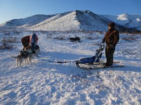 Dog Sledding in March