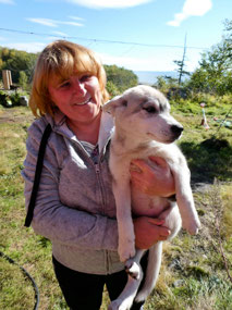 Gorgeous Adolescent Puppy