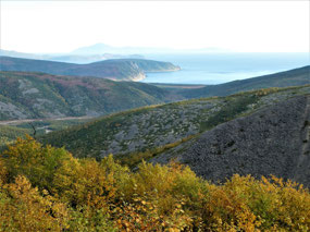 Late Afternoon at the Look Out