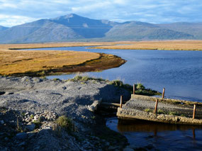 Peaceful Waterways