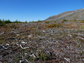 Top Hill Above Magtur Base Camp
