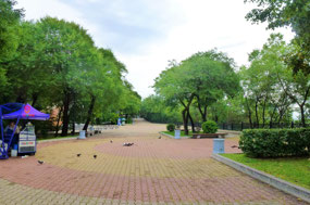 Leafy Muravyov-Amursky Park