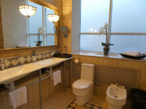 Very Classy Bathroom