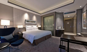 Luxurious Room, Pullman Skyway