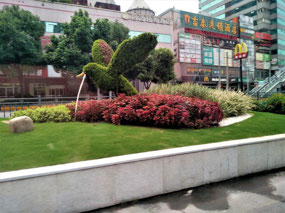 Topiary Gardens in Shanghai
