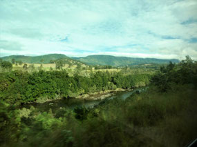 Lush Growth Along the Manning