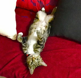 Yekaterina Settles in!