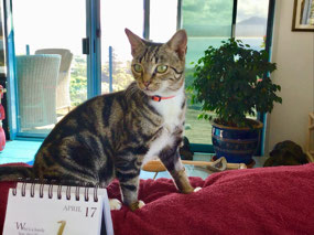 Yekaterina Comes to Live with Us