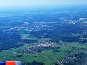 Forests Around Moscow