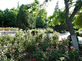 Attractive Parkland of Derbent