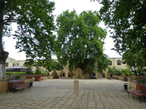Grounds of the Juma Mosque