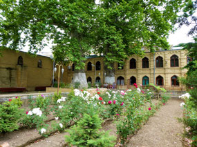 Lovely Surrounding Gardens