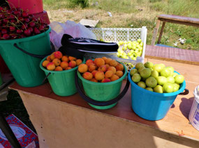 And Wonderful Apricots