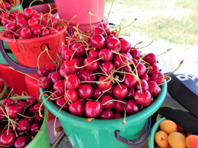 Beautiful Cherries