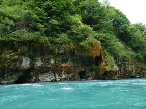 Gorgeous Shoreline of the Sulak River