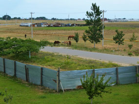 View from Our Hotel Window