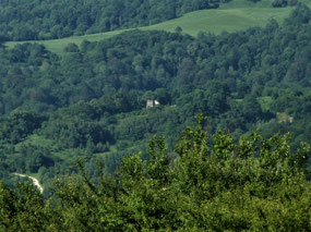 Hidden Watch Towers