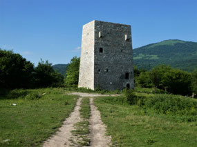 Residential Watch Tower