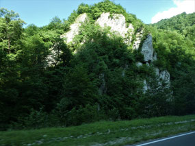 Rich Forest & Steep Rocks