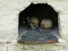A Lonely Couple of Skulls