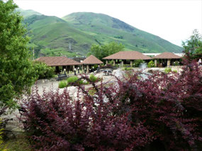 Charming Grounds of Sun Dale