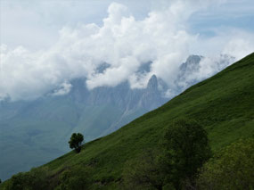 Just Look at This Scenery!