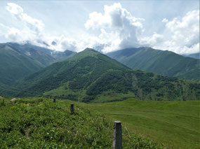 Semi-Forested Pinnacles