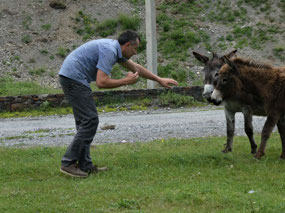 We Thought They Were Friendly
