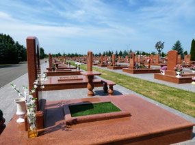 Too Many Graves to Comprehend....
